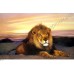Пейзаж: африканский лев, выполненный маслом на холсте